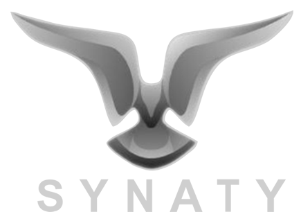 Synaty Automotive Private Limited